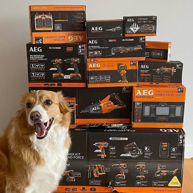 Looking to get your new kit looking like elevate_electrical_and_data's this tax time*? aeg.onsite.au are delivering tools safely to where you’re working! Shoot us a DM to get in touch! 📲
​
*Dog not included