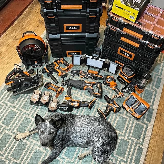 New collection of tools and a 'mean' looking guard dog to keep them safe, not much else tradieladyadelaide could want! 
​
​Want a set up like Leanne? ​​aeg.onsite.au is delivering tools safely to where you’re working! Shoot us a DM to get in touch! 📲