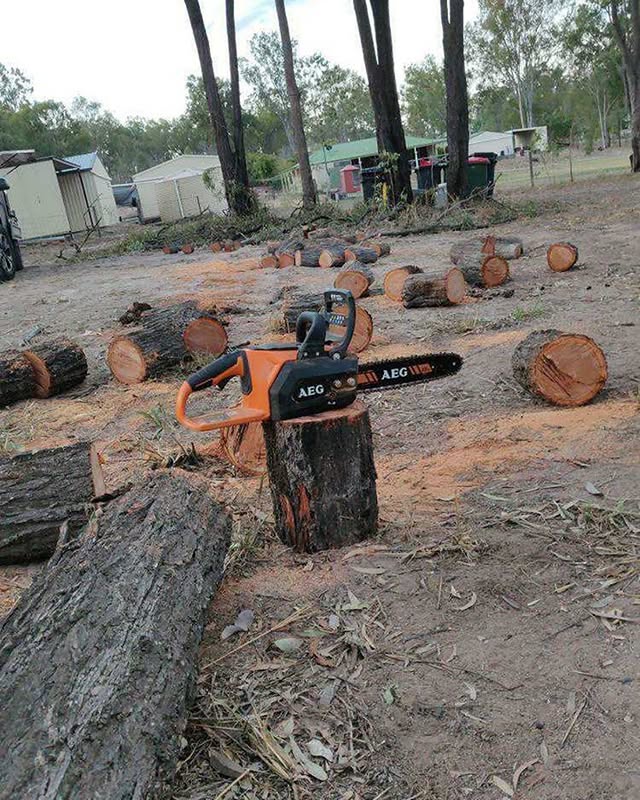 heyitsrobert97 took on these trees with a 9.0Ah FORCE battery and the 12" Brushless Chainsaw 💪

AEG's Onsite Team is still delivering tools safely to where you're working, shoot us a DM to get in touch! 📲