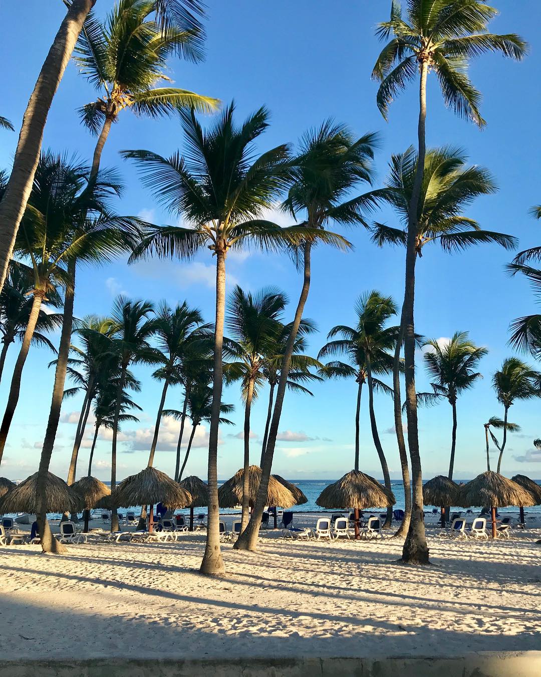 Punta Cana Voyage Tout Inclus En Famille En République