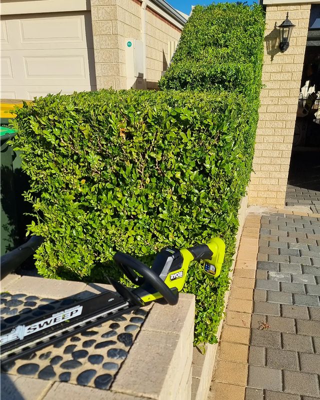 Got a new ryobiau toy for my birthday and it makes doing this hedge a dream! The hedge sweep is a wonderful thing. Really happy with this tool

#ryobipowertools #ryobigardentools #hedge #hedges #green #gardens