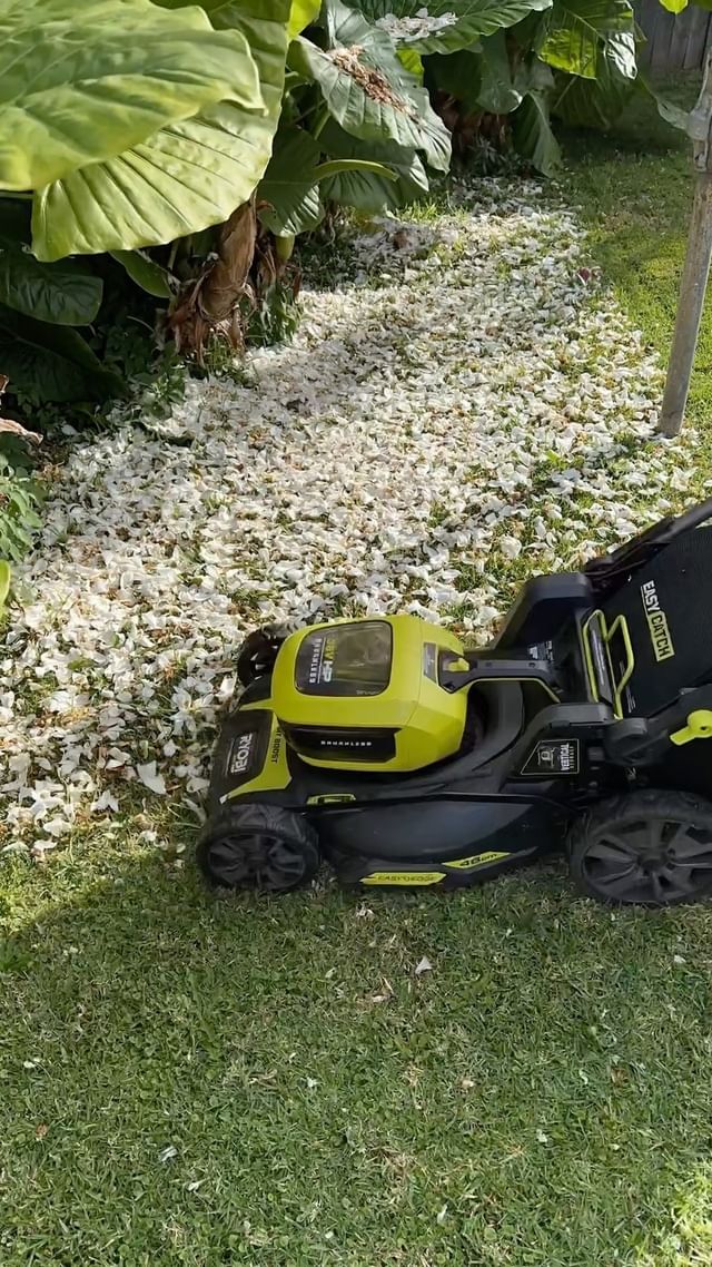 Satisfying lawn mowing 👌🏻

Follow for your daily dose of satisfying lawn care content! 🌱

📞 Contact us for all your residential, commercial, strata and acreage lawn care needs in Sydney 

1800 22 HELP (4357)
younifiedmowing.com.au 

———————————————
#crispyedges #lawnmowing #lawn #lawncare #grass #gardening #lawnmaintenance #strata #egopowerplus #egorotocut #egopowertools #edging #naturestrip #satisfying #lawncarelife #younifiedmowing #lawndesign #satisfying #landscaping #whippersnipper #linetrimmer #linetrimming #transformation #landscapetransformation #lawntransformation #weedcontrol #weeding #satisfyingvideos #overgrowngarden #ryobi #egopowerplus