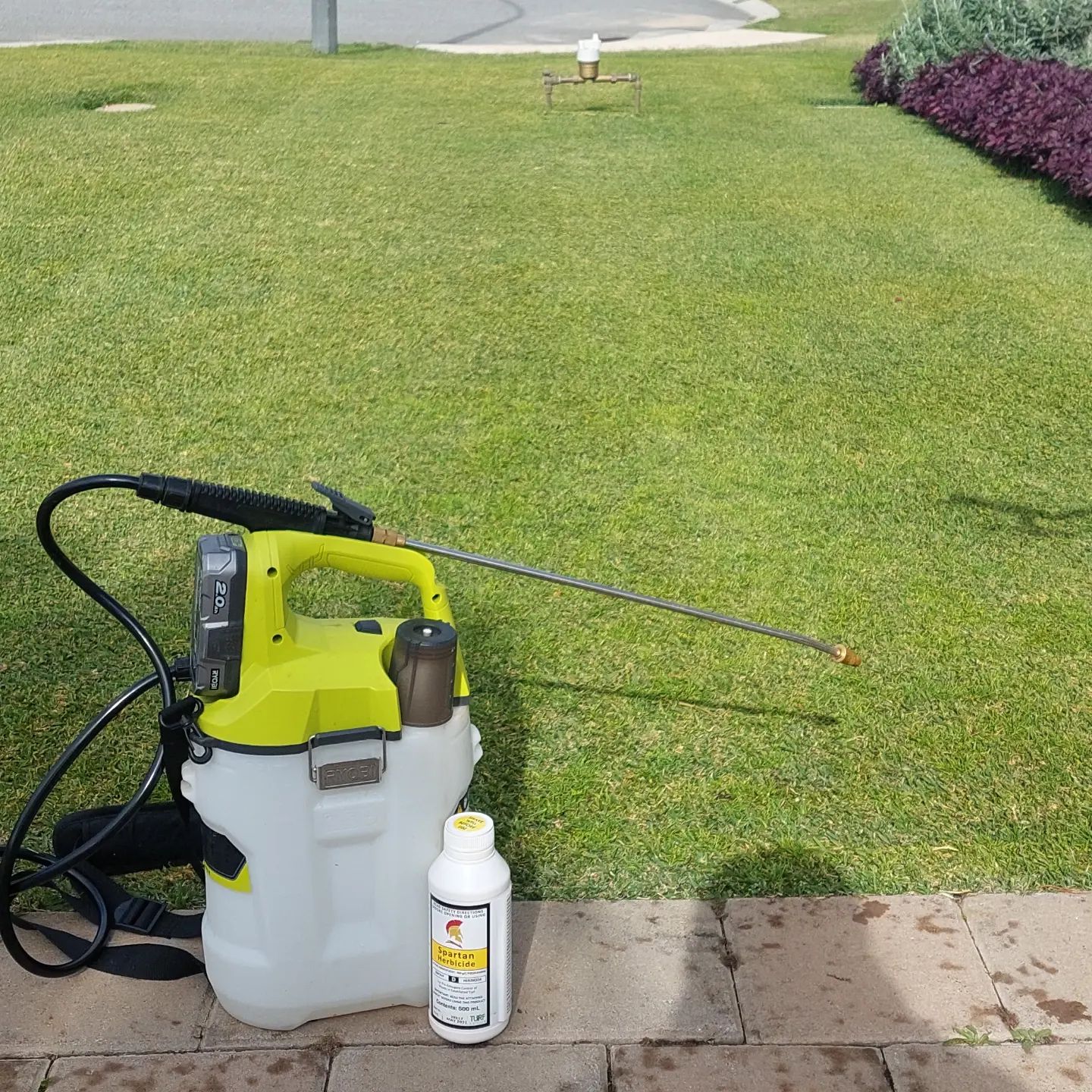 Herbicide Spray 🌱

I have just applied an application of Spartan Herbicide across my lawn with my ryobiau battery pack sprayer, which makes life easy when spraying products across large areas, this pre emergent spray works wonders and is a must do at winter time to keep those weeds away. 

Admittedly a little late on my application, a couple of weeks ago would have been better, however it's done now and will prevent any future weeds from germinating in the lawn and garden this winter, I have been using Spartan for a couple of seasons now and have had great results, remember that Spartan is a pre-emergent and won't kill any weeds that are present, however it does a great job of preventing them from popping up. 

#ryobi #ryobimade #ryobiau #spartan #herbicide #preemergent #gardentips #weedspraying #gardenaddict #gardenhacks #baileysgrowgardens #baileysturfect #lawnmaintenance #lawnfanatics #walawnaddicts #walawnlegends #lawnporn #lawnrules #lawndoctor #lawnprideau #lawntips #perthlawnmaintenaince #perthlawns #perthbackyards #perthlandscaping #bunnings #bunningswarehouse #betterhomesandgardens #bestlawn #lawnandgarden