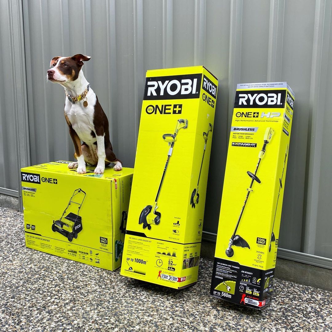 We can't get enough of our 4 legged RYOBI fans!
Don't forget to tag #RYOBImade & @ryobiau in your posts for a chance to be featured.
📸 @kw.homebuild, @ned_kelly_acd and @sadie_the_bordoodle

#RYOBIau #batterypowered #RYOBIpowertools #Furbaby #Tools #RYOBIfan