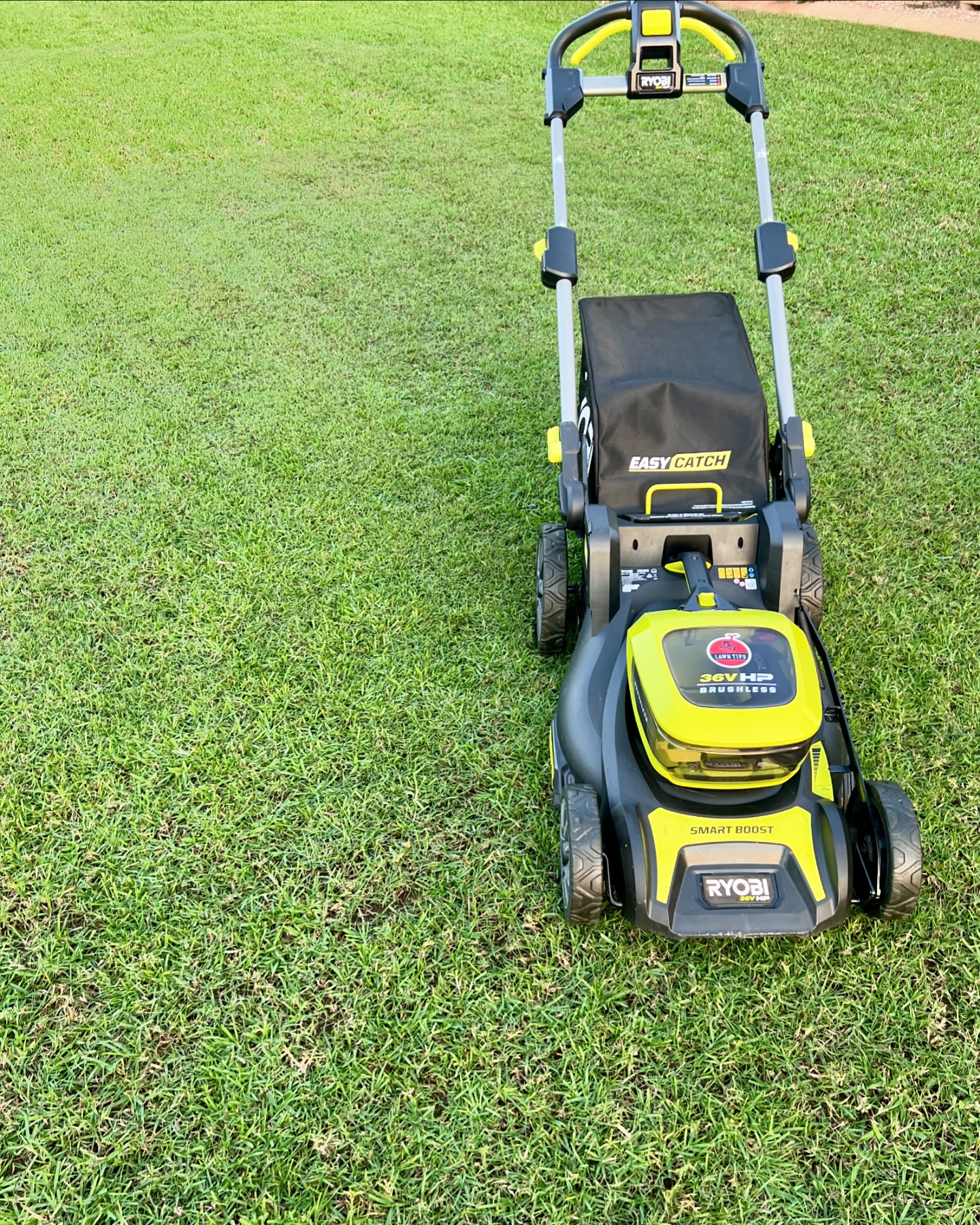 I snuck in a late afternoon mow with the ryobiau 36v Brushless Mower. The lawn is bouncing back after an end of season de-thatch and a reset on the height of cut. Next on the to do list is to add Pre-Emergent and wetting agent to the lawn.