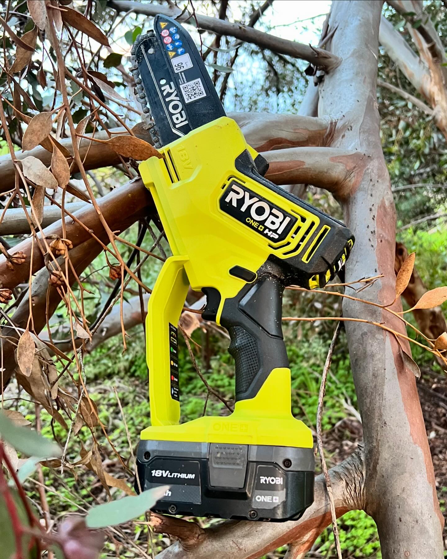 New toy. Much love. Vvvvvrrrrooooommmm chop!! #ryobi #katanasaw #ryobiau