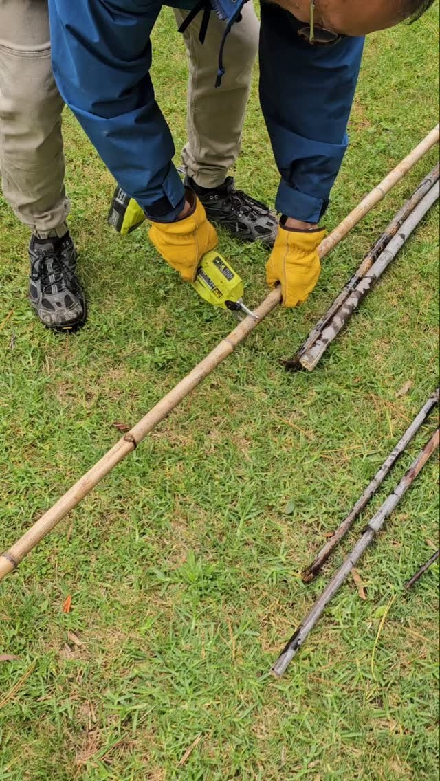 We have a friend up here parts who has an abundance of the most beautiful black bamboo. We great fully accept donations to turn into tee pees and stakes!
The ryobi pruning secateurs  are fantastic and take the hard work out of pruning and cutting branches and sticks.
ryobiau