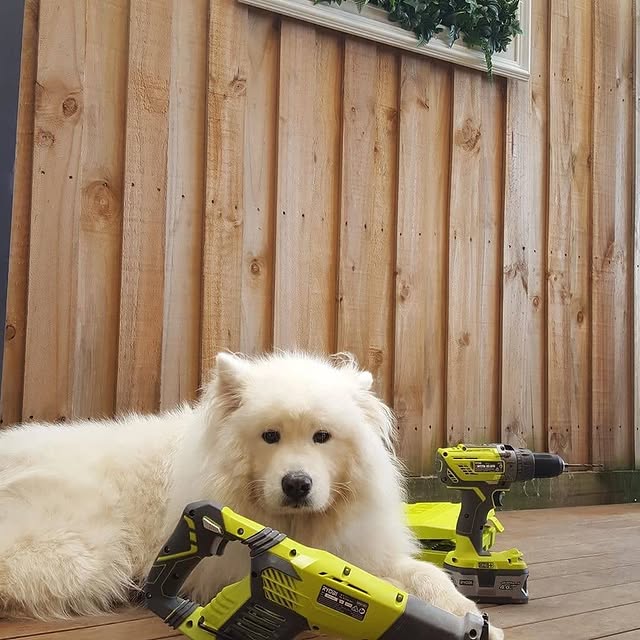 When you've spent all day helping, it's always good to paws and have a rest 🐾 
​
​📸 design_renovate_upcycle_diy