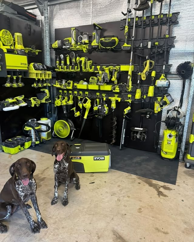 Now that’s a RYOBI tool collection 🤩

Are you a #RYOBIfan like @_jarrodthrelfo_? Show us your collection, tag @ryobiau and #RYOBImade!

#RYOBIau #batterypowered #RYOBIpowertools #Dog #Organisation #project