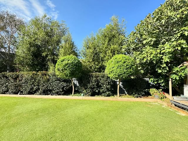@suburbanlawngeek achieved this awesome before and after by using the RYOBI Expand-IT™ 44cm Articulating Hedge Trimmer Attachment 🙌

Find out more today through the link in our bio.

#RYOBIau #BatteryPowered #RYOBImade #powertools #hedgetrimmer #gardentools #gardening