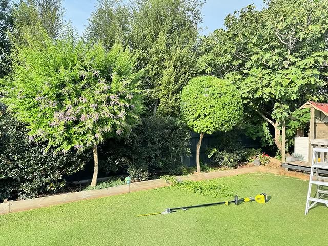 @suburbanlawngeek achieved this awesome before and after by using the RYOBI Expand-IT™ 44cm Articulating Hedge Trimmer Attachment 🙌

Find out more today through the link in our bio.

#RYOBIau #BatteryPowered #RYOBImade #powertools #hedgetrimmer #gardentools #gardening