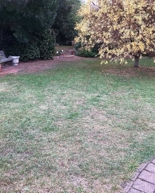 The RYOBI 18V ONE+ Seed and Fertiliser Spreader is the perfect tool for spreading seeds, fertilisers, and wetting agents to keep your lawn healthy and lush all year round 🙌

@lawnscapestasmania shows us how it's done.

Add this tool to your wish list today!

#RYOBIau #BatteryPowered #RYOBImade #powertools #lawn
