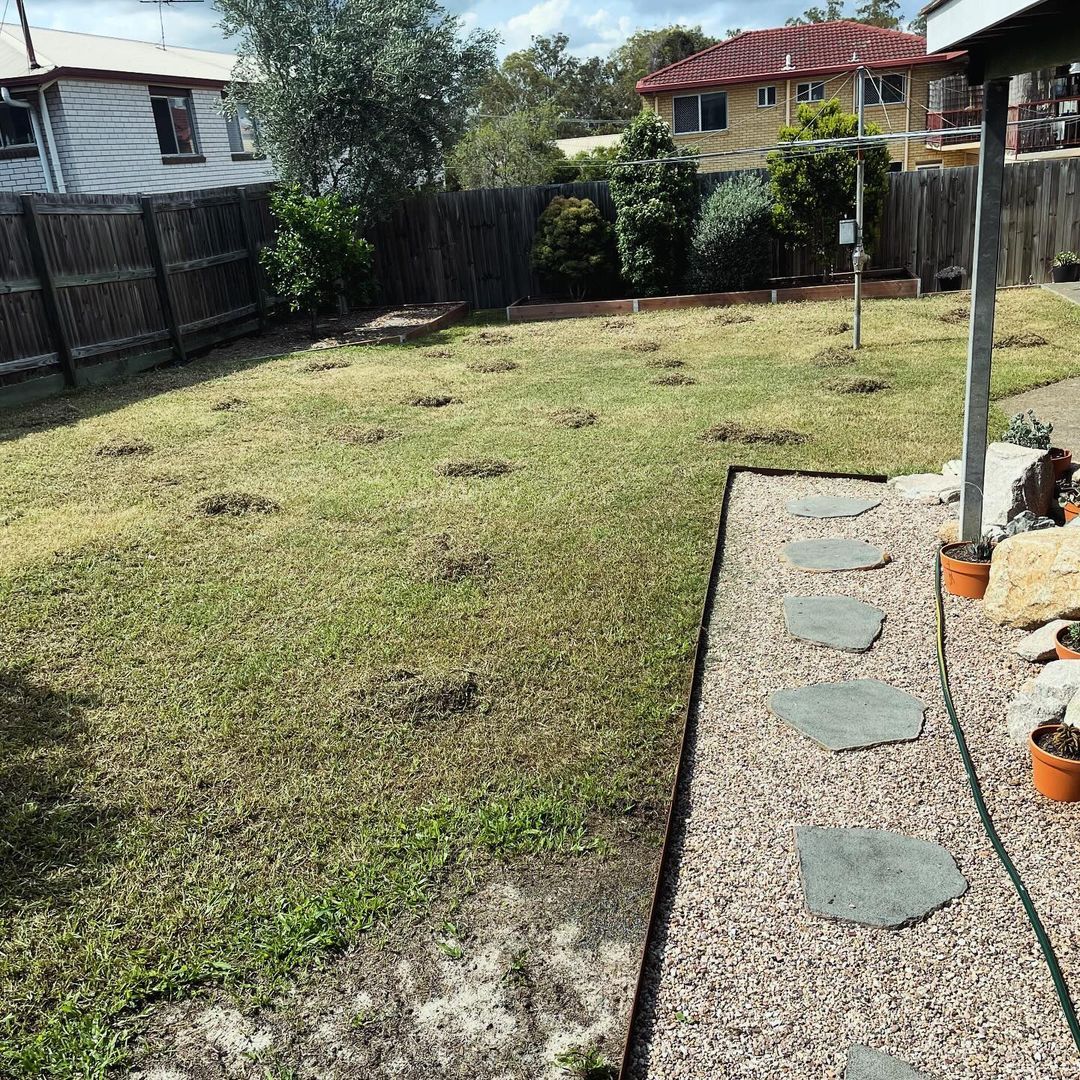 Keep your lawn looking lush and healthy! Scarifying rejuvenates your lawn by removing thatch and moss, it allows water, nutrients, and air to penetrate the soil, promoting stronger grass growth.

Check out these shots of @mattgibsondrums recent scarifying project to see the amazing results.

Don’t forget to tag us in your RYOBI projects for a chance to be featured! 📸

#RYOBIau #batterypowered #RYOBIscarifier #gardening #lawn #scarifier #lawncare #powertools #gardentools