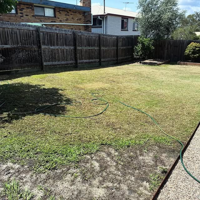 Keep your lawn looking lush and healthy! Scarifying rejuvenates your lawn by removing thatch and moss, it allows water, nutrients, and air to penetrate the soil, promoting stronger grass growth.

Check out these shots of @mattgibsondrums recent scarifying project to see the amazing results.

Don’t forget to tag us in your RYOBI projects for a chance to be featured! 📸

#RYOBIau #batterypowered #RYOBIscarifier #gardening #lawn #scarifier #lawncare #powertools #gardentools
