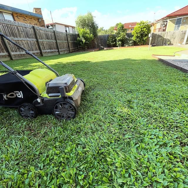 Keep your lawn looking lush and healthy! Scarifying rejuvenates your lawn by removing thatch and moss, it allows water, nutrients, and air to penetrate the soil, promoting stronger grass growth.

Check out these shots of mattgibsondrums recent scarifying project to see the amazing results.

Don’t forget to tag us in your RYOBI projects for a chance to be featured! 📸

#RYOBIau #batterypowered #RYOBIscarifier #gardening #lawn #scarifier #lawncare #powertools #gardentools