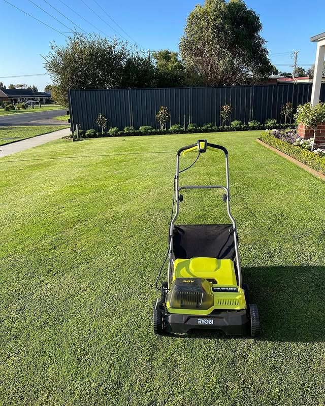 The RYOBI product every lawn enthusiast needs! 🌱

The RYOBI 36V Brushless Scarifier works by removing a dead layer of grass that sits on the soil, allowing fresh rainwater, sunshine and nutrients to penetrate the soil and keep grass roots healthy

Send this post to someone who needs this product.

📸: livelovelawn

#RYOBIau #batterypowered #RYOBIpowertools #RYOBImade #lawncare #scarifying