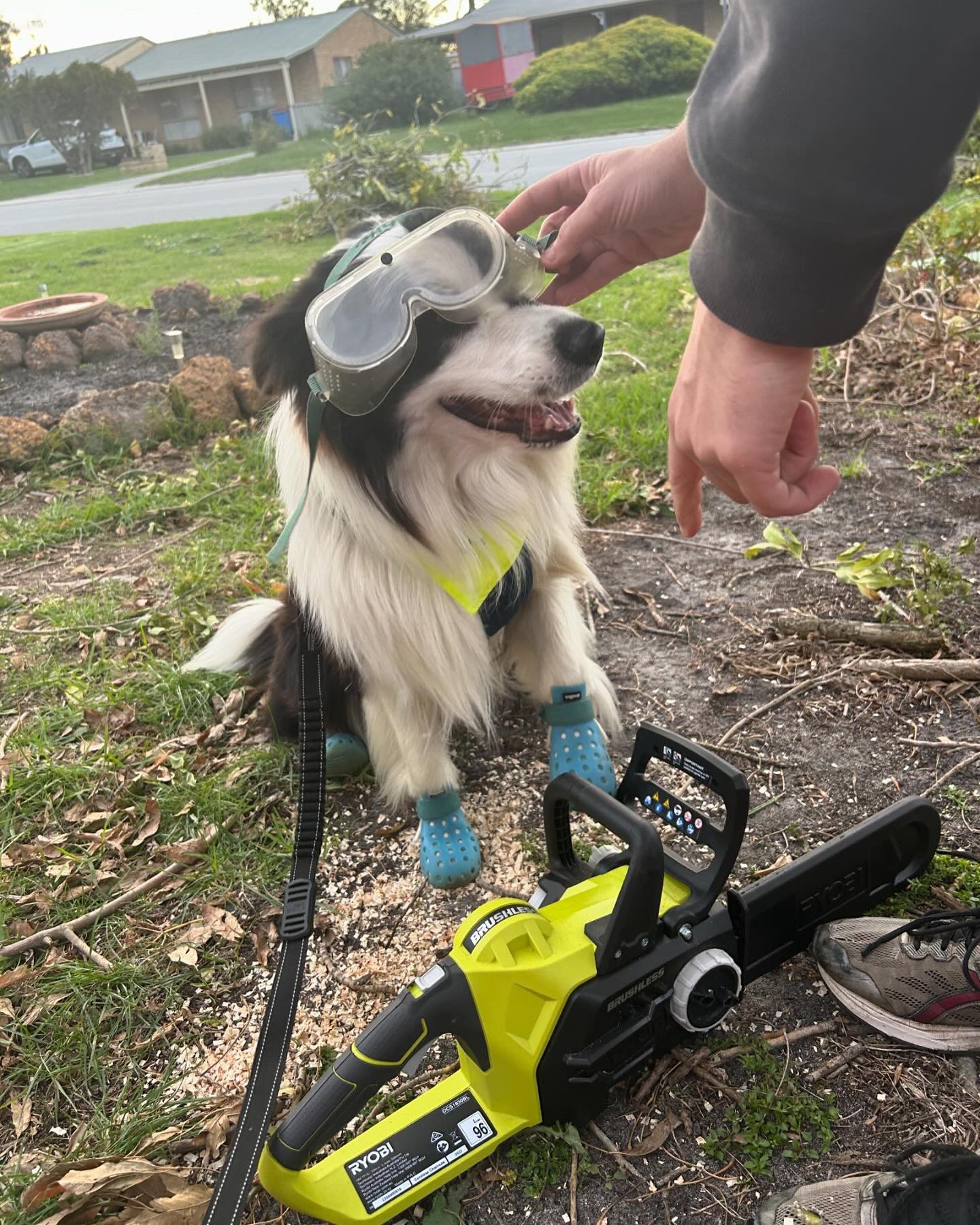 Happy International Dog Day 🐾

Today we celebrate our DIY project supervisors, garden helpers, and loyal companions just like @cosmo_border_collie

Don't forget to tag @ryobiau & #RYOBImade so we can see how our products help you.

#RYOBIau #batterypowered #RYOBIpowertools #internationaldogday
