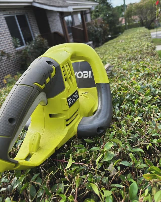 Ready to perfect your hedges? RYOBI’s range of Hedge Trimmers tackle any project with ease.🌳

Show us your RYOBI garden glow-up, tag ryobiau and #RYOBImade for the chance to be featured!

📷: saragrafenauer

#RYOBIau #BatteryPowered #RYOBIPowerTools #Gardening #Hedging