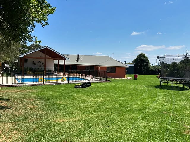 Lawn porn, recent rain has really helped, looking lush! Thanks to ryobiau #lawnporn #backyardblitz #toowoomba