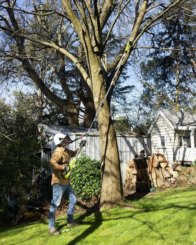 The RYOBI 18V ONE+ EZ Reach Range is the Tool of the Month!

With adjustable heads for trimming, cutting, and pruning overhead branches, tall hedges, or cleaning roof gutters, this tool helps you tackle any project—while keeping both feet firmly and safely on the ground.

Is this the next addition to your collection? Head to the link in our bio to learn more!

#RYOBIau #EZReach #BatteryPowered #RYOBIPowerProducts #ToolOfTheMonth #GardenCare