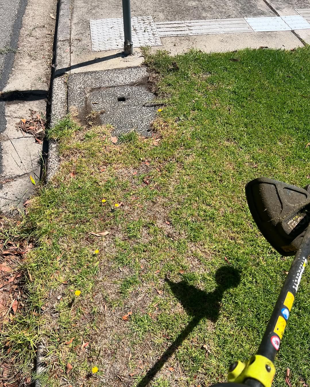 Check out this awesome lawn transformation by @ourcribbycrib! Proof that the right products make all the difference.

What's your go-to RYOBI lawn care products? Let us know in the comments 🙌

#RYOBIau #BatteryPowered #LawnCare #AutumnGardening #BeforeAndAfter