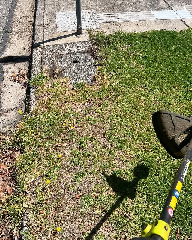 Check out this awesome lawn transformation by @ourcribbycrib! Proof that the right products make all the difference.

What's your go-to RYOBI lawn care products? Let us know in the comments 🙌

#RYOBIau #BatteryPowered #LawnCare #AutumnGardening #BeforeAndAfter