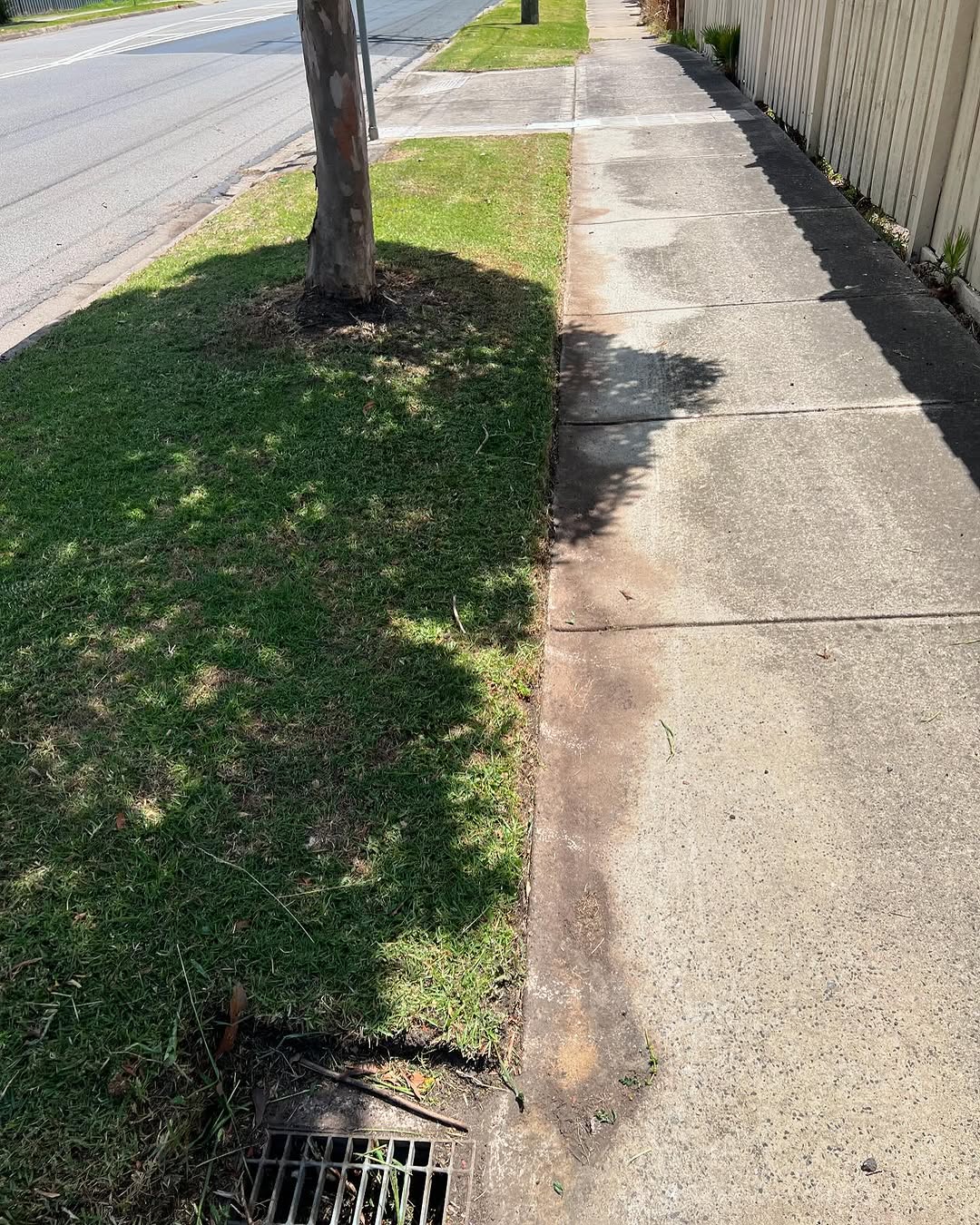 Check out this awesome lawn transformation by @ourcribbycrib! Proof that the right products make all the difference.

What's your go-to RYOBI lawn care products? Let us know in the comments 🙌

#RYOBIau #BatteryPowered #LawnCare #AutumnGardening #BeforeAndAfter