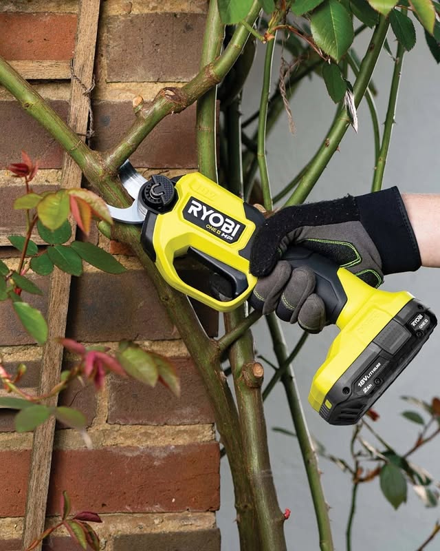 Make light work of pruning branches up to 28mm thick with the RYOBI 18V ONE+ HP™ Brushless Pruning Secateurs. It is perfect for trimming fruit trees and making healthy cuts on bushes.

Do you know someone who needs this product? Tag them in the comments!

#RYOBIau #BatteryPowered #Pruning #Garden #GardeningHacks